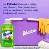 FABULOSO 169F CS SP PASSION FRUIT 2X pack of 3