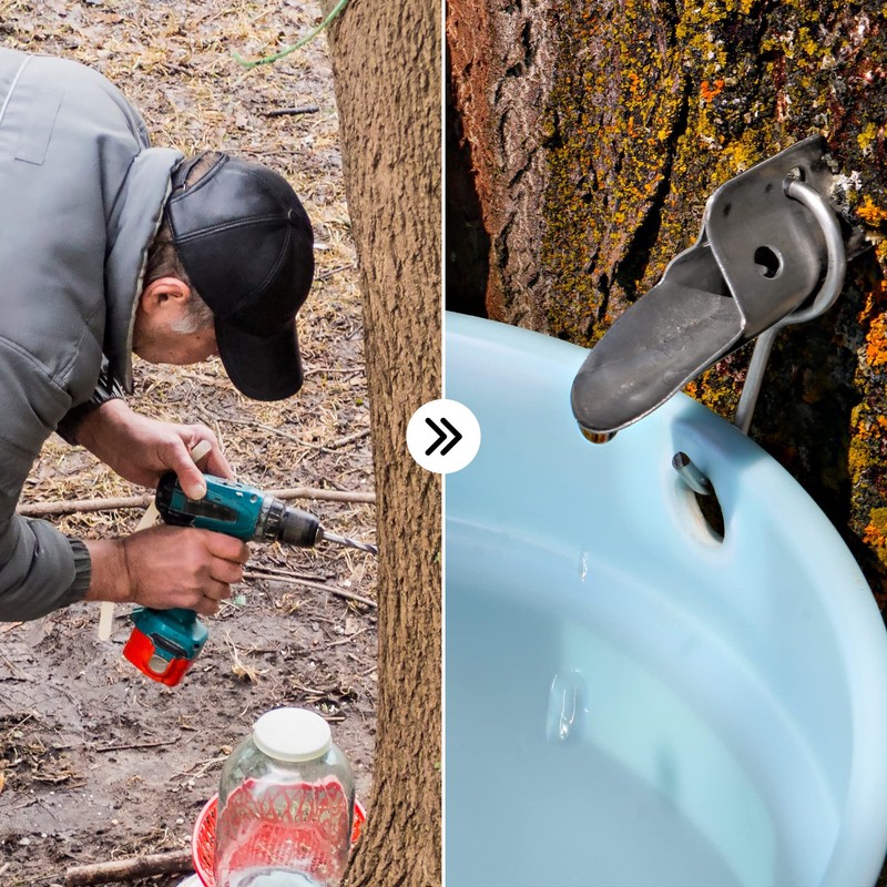 Maple Syrup Tree Tapping Kit - Includes (2) Maple Syrup