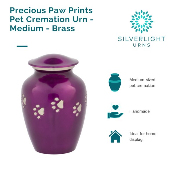 Precious Paw Prints Medium Pet Cremation Urn for Ashes, Brass,