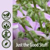 Nature's Answer Pueraria Mirifica 60caps Vegetarianas Sfn