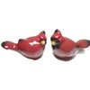Pinecone Cardinal Salt and Pepper Shaker