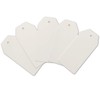 LWR CRAFTS 100 Hang Tags with Jute Twines 100ft (White,