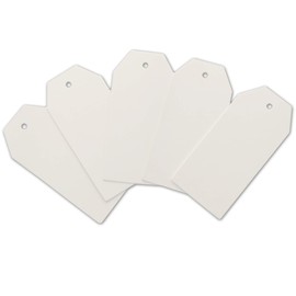 LWR CRAFTS 100 Hang Tags with Jute Twines 100ft (White, 3 3/4" x 1 3/4")