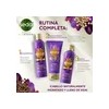 Shampoo Sedal Bioexpert Hidratación Y Control Caída - 370 Ml