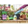Miracle-Gro Water Soluble Bloom Booster Flower Food - Big Blooms