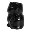 Ebros Gift Wicca Witchcraft Witching Hour Ceramic Black Feline Cat