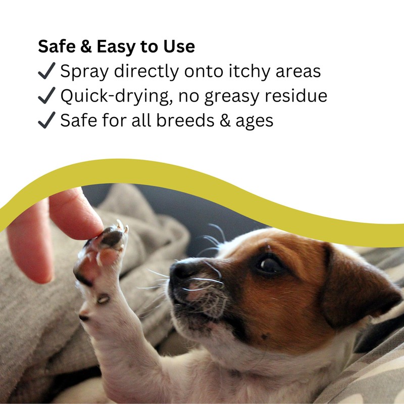 Natures Greatest Secret Antibacterial Soothing Itch Buster for Dogs 250ml
