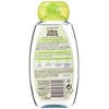 Garnier Ultra DOUX Coconut Water Shampoo Aloe Vera 250 ml