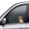 Yorkshire Terrier Aufkleber, Reflektierend, Lustige Wasserfest Aufkleber für Laptop, Kühlschrank,