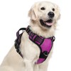 rabbitgoo Dog Harness for Large Dogs, No Pull Pet Vest