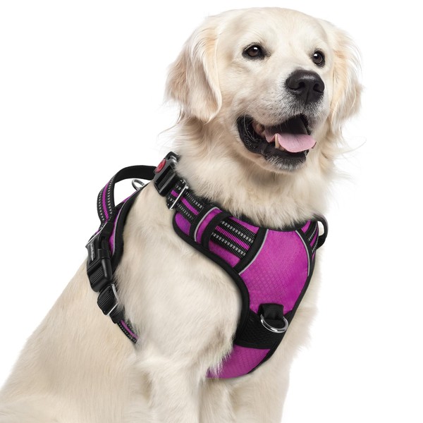 rabbitgoo Dog Harness for Large Dogs, No Pull Pet Vest