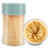 TRTRin Bamboo Toothpicks [3000 Count] - With Reusable Toothpick Holder,