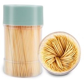 TRTRin Bamboo Toothpicks [3000 Count] - With Reusable Toothpick Holder, Sturdy Smooth Finish Tooth Picks, for Party, Appetizer, Olive, Barbecue, Fruit and Teeth Cleaning, Green.