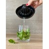 BranQ Home Essential Citrus Juicer Tritan Black 13 x 14.5
