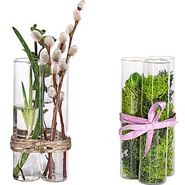 Tuuters.de Vase Insert 6 Pieces, Test Tube Vase, Ideal for Cuttings, Mini Vase Set (130 x Diameter 30 mm)