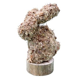 Rabbit Topiary Shagnum Moss Form
