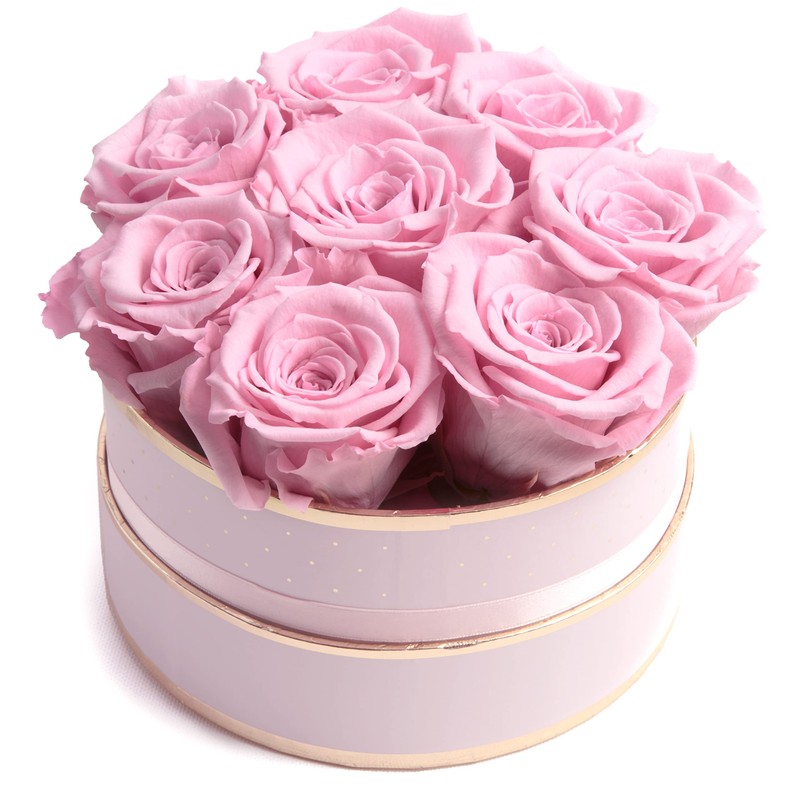 ROSEMARIE SCHULZ Heidelberg Rose Box Pink Round Infinity Roses -