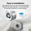 EVIL ENERGY 3/8" NPT Plugs Aluminum Socket Allen Head Silver,