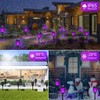 Solar Outdoor Lights 6 Pack, Purple Torches With Flickering Flame,