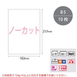 コクヨ ワープロ用紙ラベル 共用タイプ B5 10枚 タイ-2120-W