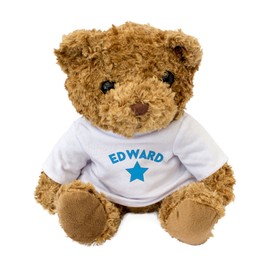 NEW - EDWARD - Cute And Cuddly Teddy Bear - Gift Present Xmas Birthday