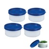 Westmark herbal jar set, 4 pieces, volume 100 ml each,