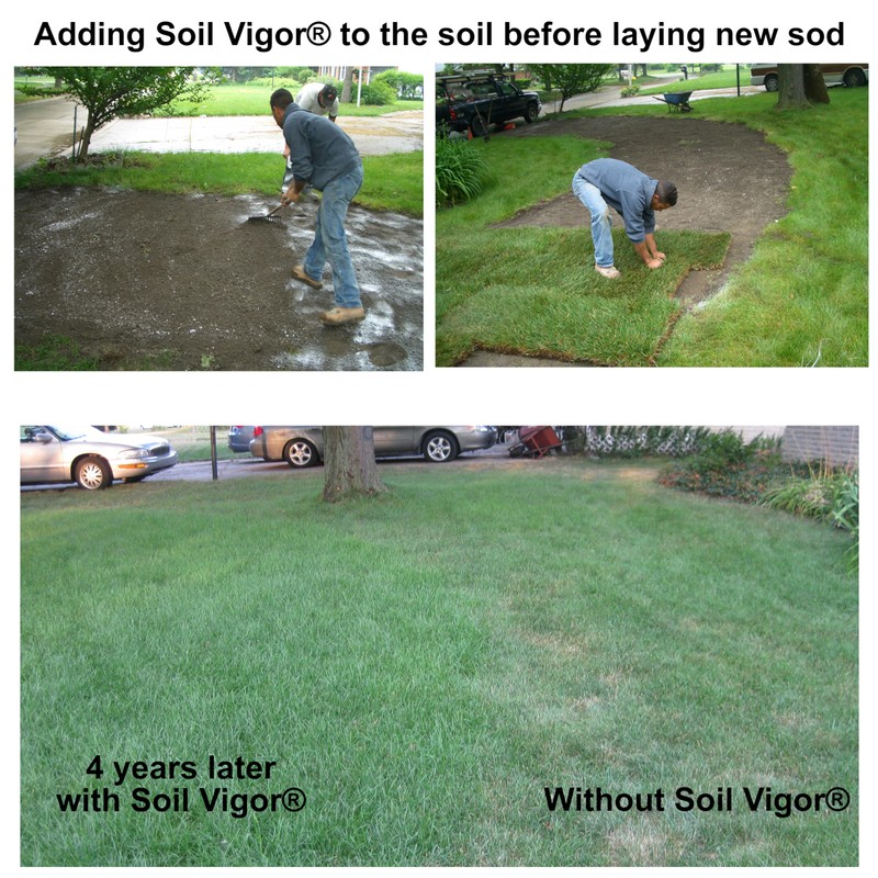 Super Absorbent Polymers Moisture and Fertilizers Keeper for Plants (1