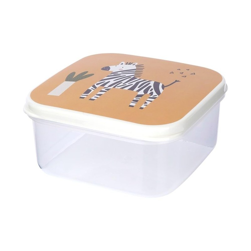 Food Container, Lunch Box, Plastic Container for Children, Pack of