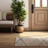 RUG BRANCH Savannah Contemporary Abstract Beige Grey Indoor Runner Rug