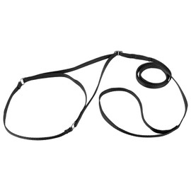 Country Brook Design Nylon Martingale Dog Show Lead