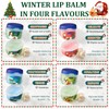 Christmas Lip Balm Set, 4 Packs Lip Balm Multipack, 3