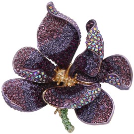 EVER FAITH Women's Austrian Crystal Bridal Orchid Petal Brooch, Crystal