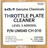 Kia OEM Throttle Body and Intake Cleaner 4 oz Set