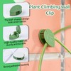 CIQIYO 30/60/100PCS Plant Climbing Wall Fixture Clips,Invisible Wall Plant Vines