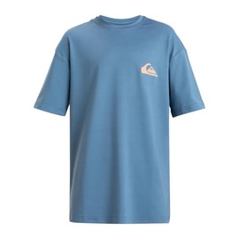 Quiksilver Boys Everyday Surf Tee SS Youth Wetsuits