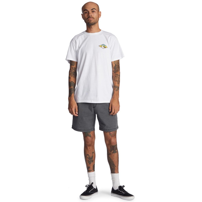 Quiksilver Taxer Ws Men's Shorts