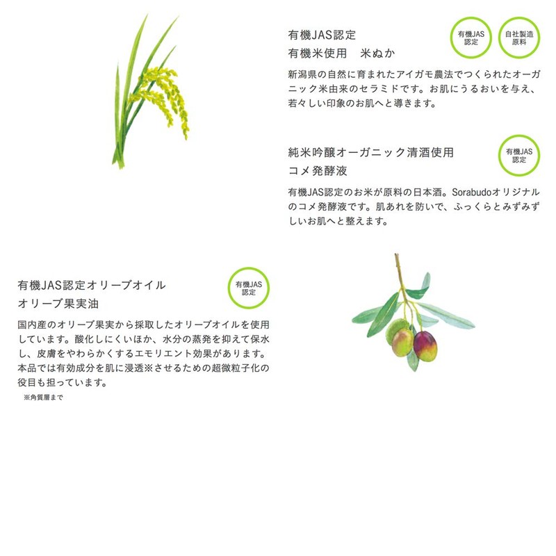 Sorabudo Organic Botanic Lotion 4.1 fl oz (120 ml)