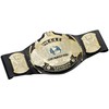 WWE Winged Eagle Championship Belt