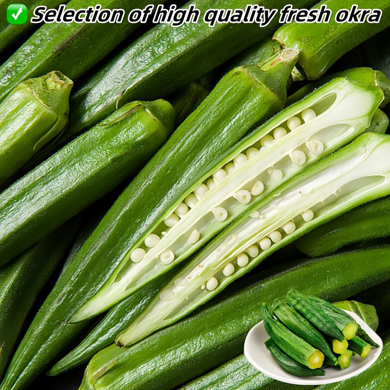 Okra Chips Freeze Dried Vegetables - Crunchy Dehydrated Okra Crisp,