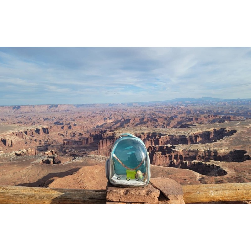 Bird Traval Carrier Cage, Polarized Tinted Blue Space Capsule Astronaut