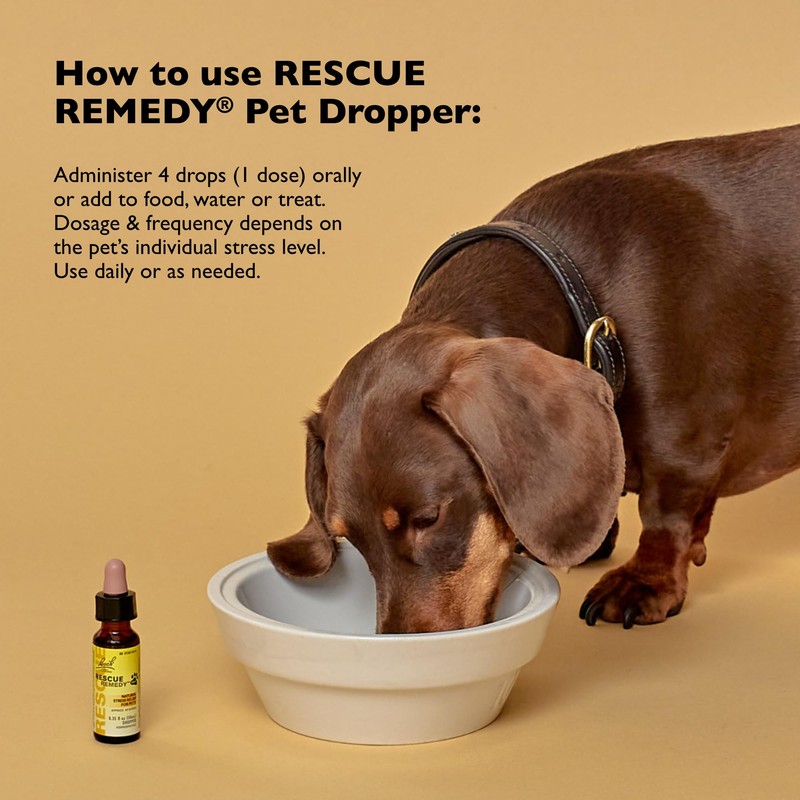 Bach Rescue Remedy Pet Dropper - 20mL, Pack of 2