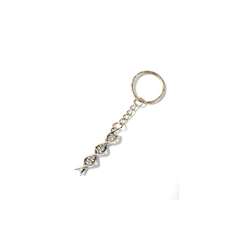 Dreambase DNA Keyring Antique Silver, antique silver