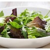 Viridis Hortus - Lettuce BabyLeaf Mesclun Mix - 5,000 (4.92g's)