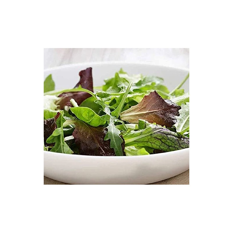 Viridis Hortus - Lettuce BabyLeaf Mesclun Mix - 5,000 (4.92g's)
