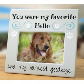 BANBERRY DESIGNS Pet Remembrance Gift - Pet Memorial Picture Frame - Bereavement Photo Frame for Dog or Cat - You were My Favorite Hello and My Hardest Goodbye