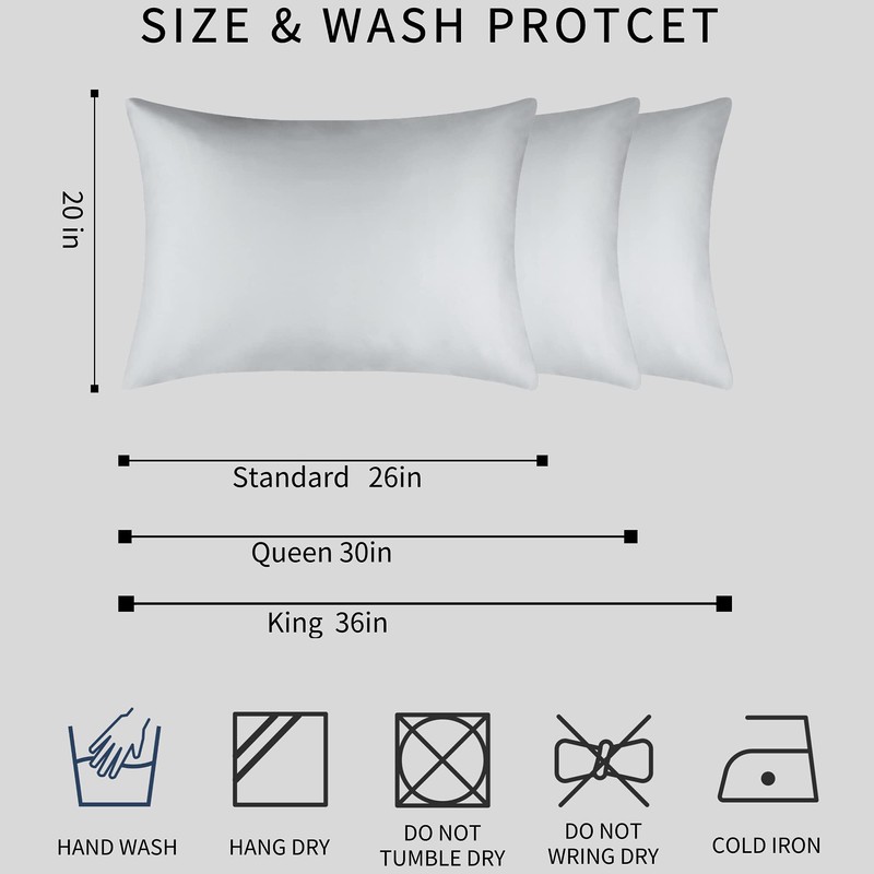 BEIJOEY 100% Mulberry Silk Pillowcase 2 Pack for Hair and