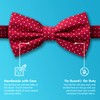 GoTie Men's Dotted Bowtie - Bow Ties Ready to Wear