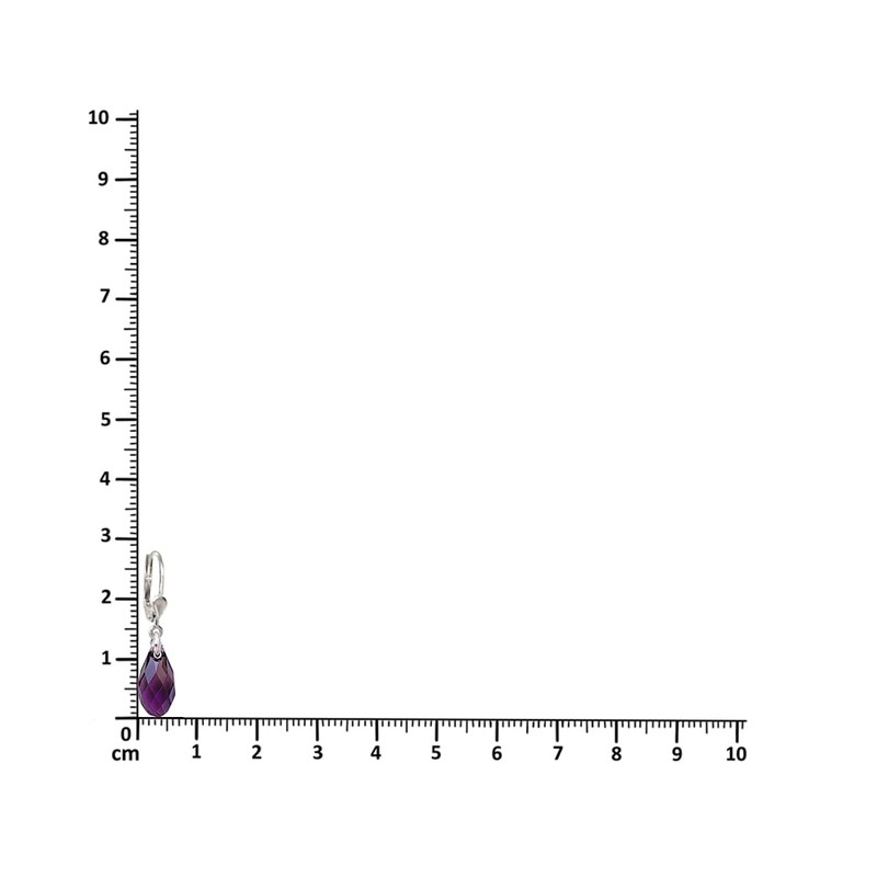 Schöner-SD Earrings 925 Silver with Small Briolett Crystals 13 mm,