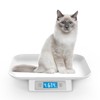 MINDPET-MED Digital pet Scale for Small Adult Cats and Animals,