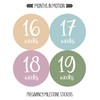Months In Motion Pregnancy Weekly Belly Growth Stickers - Week